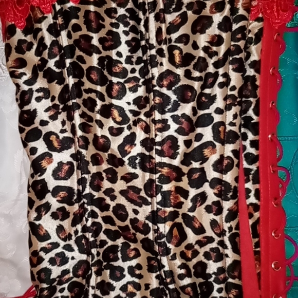 Lingerie - Picture 9 of 11